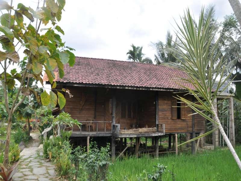 The Pikas Resort Wonosobo Dış mekan fotoğraf